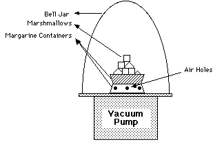 Vacuum Pump w/'mellos